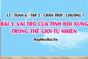 Vai trò của tính đối xứng trong thế giới tự nhiên, trong kĩ thuật đời sống? Toán 6 chân trời Tập 2 chương 7 Bài 3